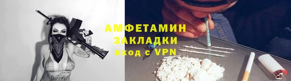 крисы Жердевка