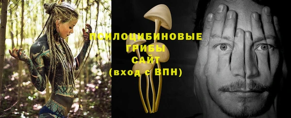 соль курить ск Приозерск