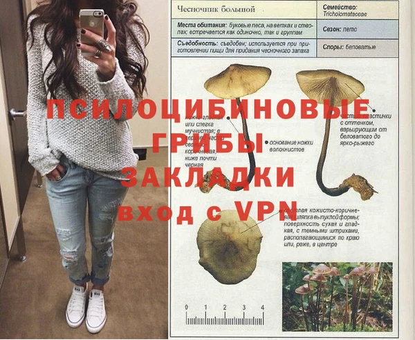 a pvp Покров