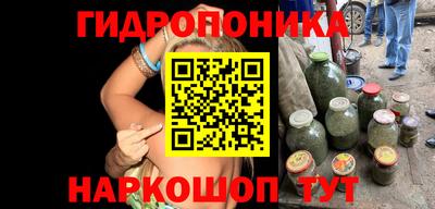 крисы Гусиноозёрск