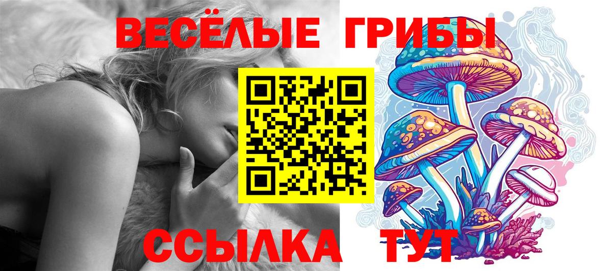 Псилоцибиновые грибы Magic Shrooms  Галлюциногенные грибы мицелий  Вход с VPN  Тара 