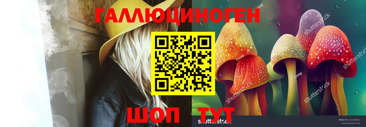 Галлюциногенные грибы GOLDEN TEACHER  Тара 