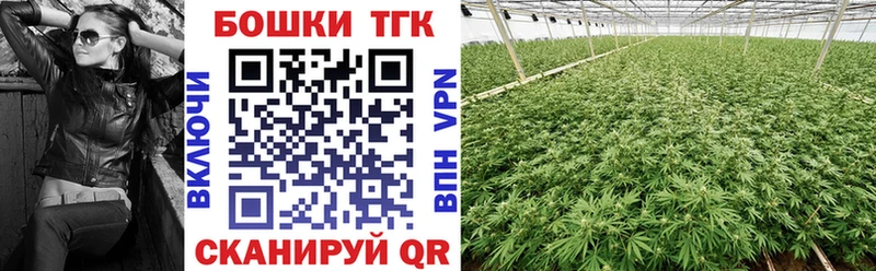 купить  цена  Тара  Бошки Шишки MAZAR 
